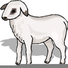 Ewe Clipart Image