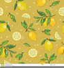 Free Clipart Of Lemons Image