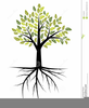 Free Clipart Of Trees With Roots Image