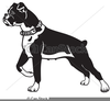 White Boxer Clipart Image