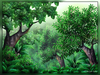 Jungle Scene Clipart Image