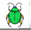 Animated Bugs Clipart Image