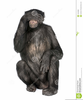 Monkeys And See No Evil And Clipart Image
