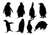 Sillouette Clipart Animals Image