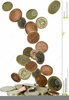 Falling Money Clipart Image