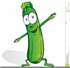 Zucchini Clipart Image