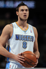 Danilo Gallinari Nuggets Image