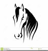 Horse Clipart Pleasure Image