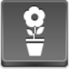 Pot Flower Icon Image