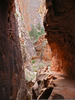 Echo Canyon Zion Image