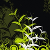 285 1 Image