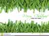 Pine Border Clipart Image