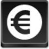 Euro Coin Icon Image