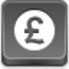 Pound Coin Icon Image