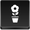 Pot Flower Icon Image