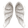 Angel Wings Image