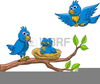 Clipart Empty Nest Image