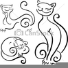 Free Clipart Funny Cats Image