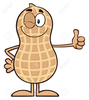 Free Cartoon Peanut Clipart Image