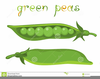 Free Clipart Peas In A Pod Image