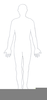 Body Contours Clipart Image