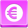 Euro Coin Icon Image