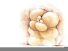 Teddy Bear Hugging Clipart Image
