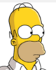 Homer Image