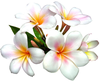 Clipart Of Bunch Of Flowers Image