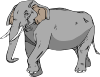 Elephant 5 Clip Art