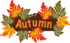 Fall Harvest Clipart Image