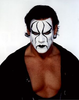 Sting Wrestler Image