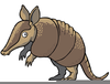 Cartoon Armadillo Clipart Image