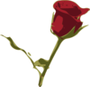 Rose Clip Art