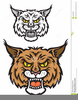 Lynx Mascot Clipart Image
