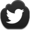 Twitter Bird Icon Image