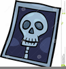 X Ray Vision Clipart Image