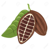 Cocoa Tree Clipart Image