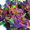 Rainbow Kush Weed Image