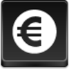 Euro Coin Icon Image