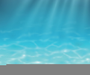 Undersea Clipart Free Image