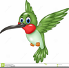 Hummingbird Clipart Image