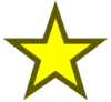 Gold Star Image