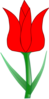 Tulip Clip Art