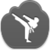 Karate Icon Image