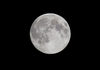 Full Moon Jore Image