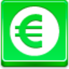 Euro Coin Icon Image