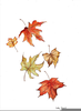 Leaves Falling Drawing Image