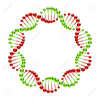 Dna Border Clipart Image