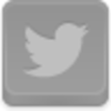 Twitter Bird Icon Image